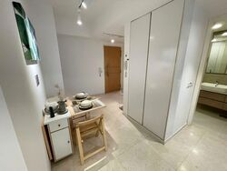 The Lakefront Residences (D22), Condominium #565049481